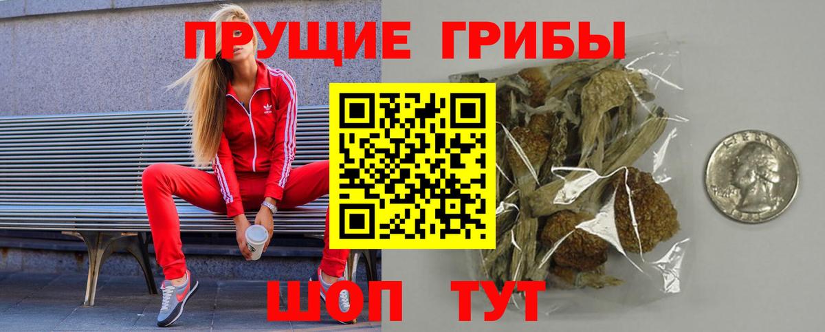 Галлюциногенные грибы Psilocybine cubensis  Вход с VPN  закладки  Котельники 