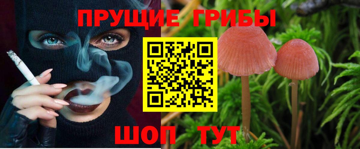 Галлюциногенные грибы прущие грибы Котельники